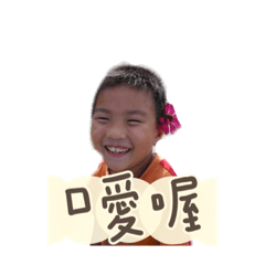 帥帥‘日常生活