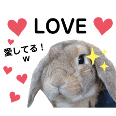 Kevidel_20200901150750