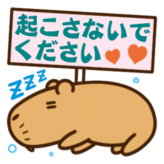 Always sleepy capybara.