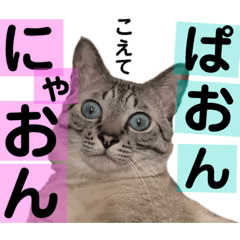 matsu_20200901134649