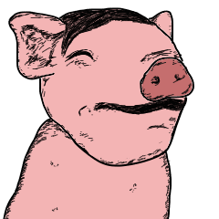 The cool pig which moves
