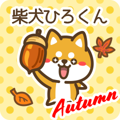 Shiba Hirokun in Autumn