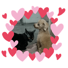 瑞拉阿勇小寶貝