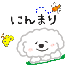 にんまり もふもふマルチーズ Line スタンプ Line Store にんまり もふもふマルチーズ Line スタンプ Line Store