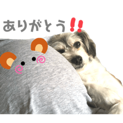 mina_20200901225045