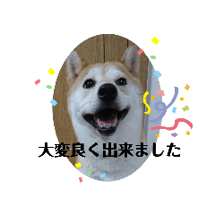 shibashibapon_20200901