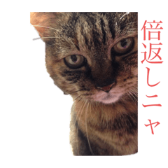 hikari_20200901234352