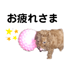 rina_20200901235148