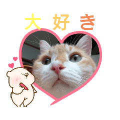 yukari_20200902093110