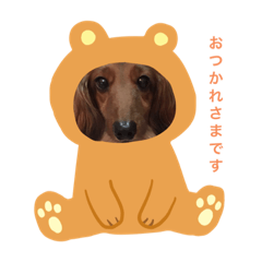 seira_20200901180841