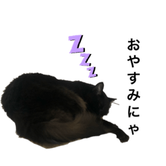 YUKARI_20200901190525