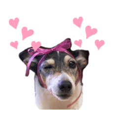 Nanami_20200901205320