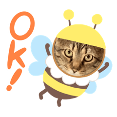 junko_20200901025722