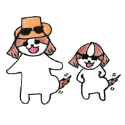 Funny Shih Tzu Funny Shih Tzu