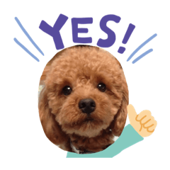 cocoa_20200901204140