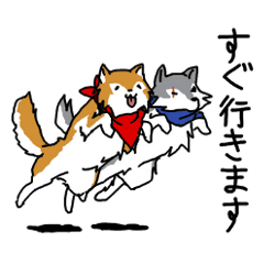 ご主人大好き犬 ジョンと鮫次郎 Line スタンプ Line Store ご主人大好き犬 ジョンと鮫次郎 Line スタンプ Line Store