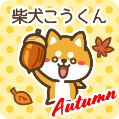 Shiba Koukun in Autumn