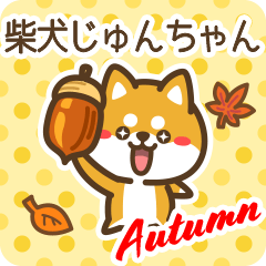 Shiba Junchan in Autumn