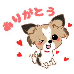 Chihuahua that is heart