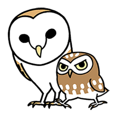 Sticker of barn owl
