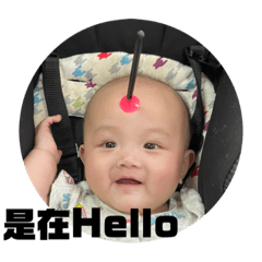 Hua Hua ‘s 日常表情包