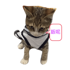 阿德哇哇叫