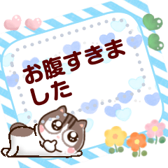 Flower cat Chappy maiden message Sticker