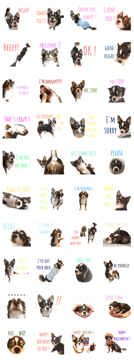 英語 チワワのエルマー English Lineクリエイターズスタンプ Stamplist 英語 チワワのエルマー English Lineクリエイターズスタンプ Stamplist