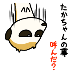 Taka-chan selo dedicado versão meerkat