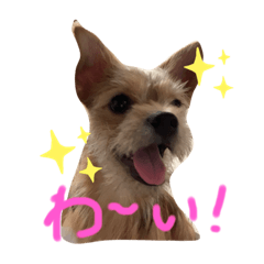 AKIKO_20200902115942