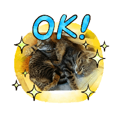 This is a tutorial, isn't it?