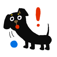 adventure of a cute dachshund