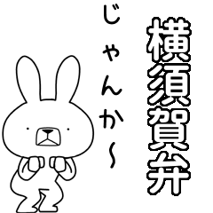 BIG Dialect rabbit [yokosuka]