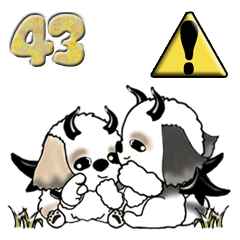 Shih Tzu Dog43(Poisonous tongue)