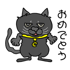 catcatcat_blackcat