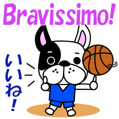 バスケ犬　イタリア語と日本語