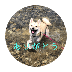 chibi_20200902192206