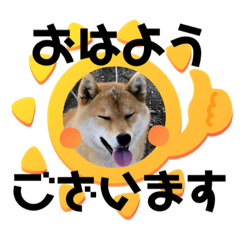 Nozomi_20200902203236