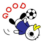soccer bird