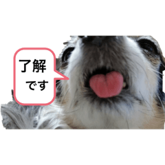 ayumi_20200902215542