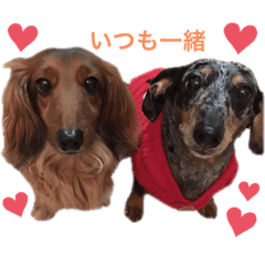 seira_20200902221202