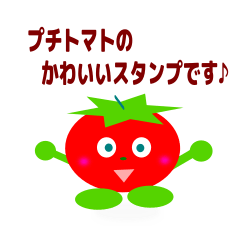 a word of Petit Tomato