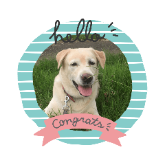 Bella_20200902180907