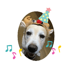 Bella_20200902180640