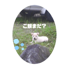 suzu_20200903030629