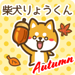 Shiba Ryoukun in Autumn