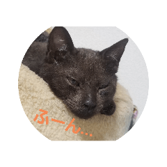 bobsuke_20200902234147