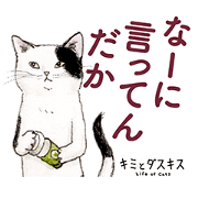 Kimi & Daskis (1) : The Life of Cats