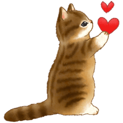 使いやすい 猫たちのスタンプ 5 Line スタンプ Line Store 使いやすい 猫たちのスタンプ 5 Line スタンプ Line Store