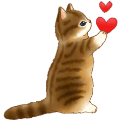 Cat sticker (Japanese message) 5 u2013 LINE stickers LINE STORE